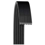 Order Serpentine Belt by DAYCO - 5040390 For Your Vehicle